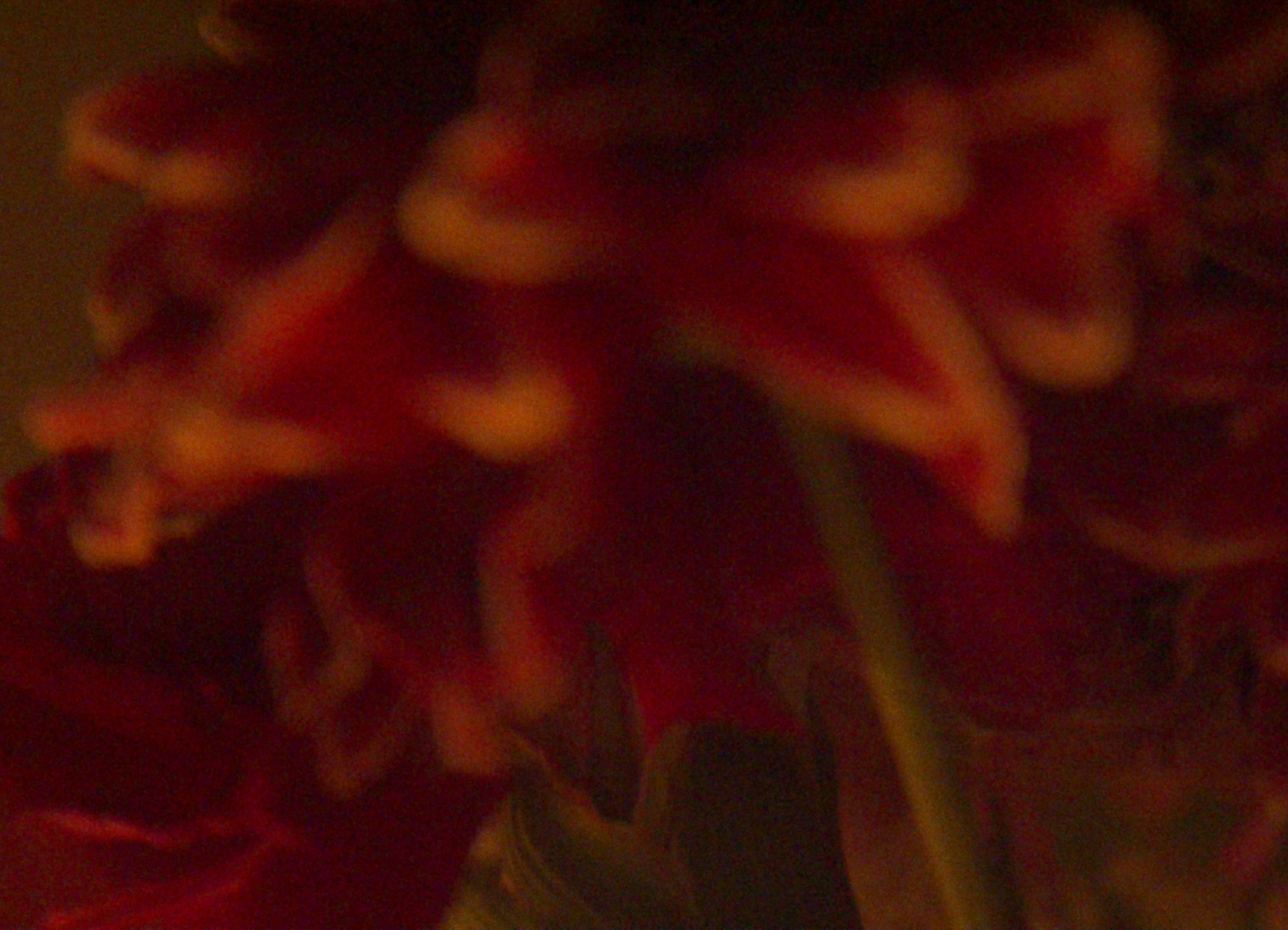 Distillery Dance — film still 1